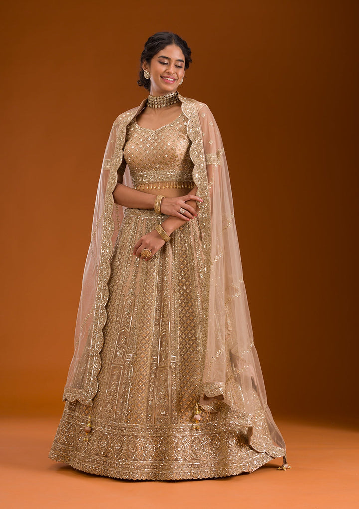 Beige Zariwork Net Readymade Lehenga-Koskii