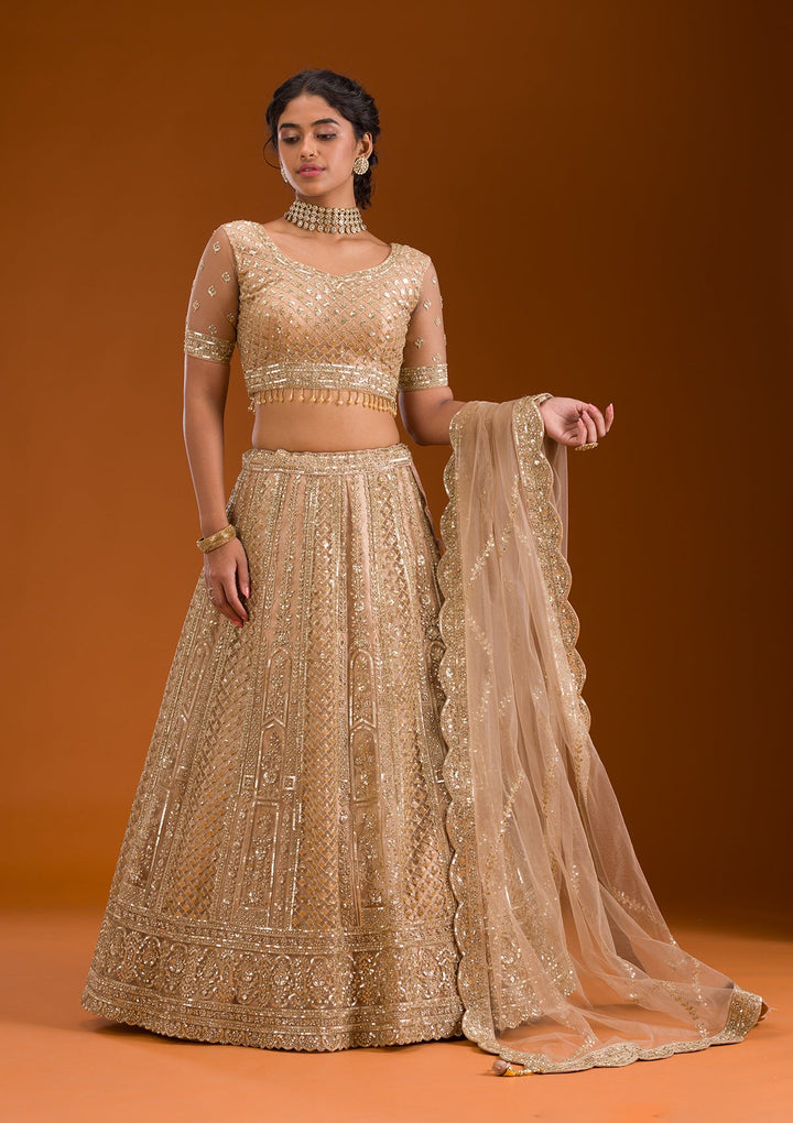 Beige Zariwork Net Readymade Lehenga-Koskii