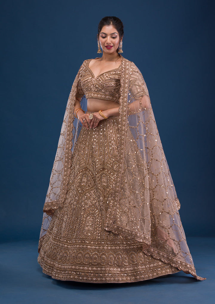 Beige Zariwork Net Readymade Lehenga-Koskii