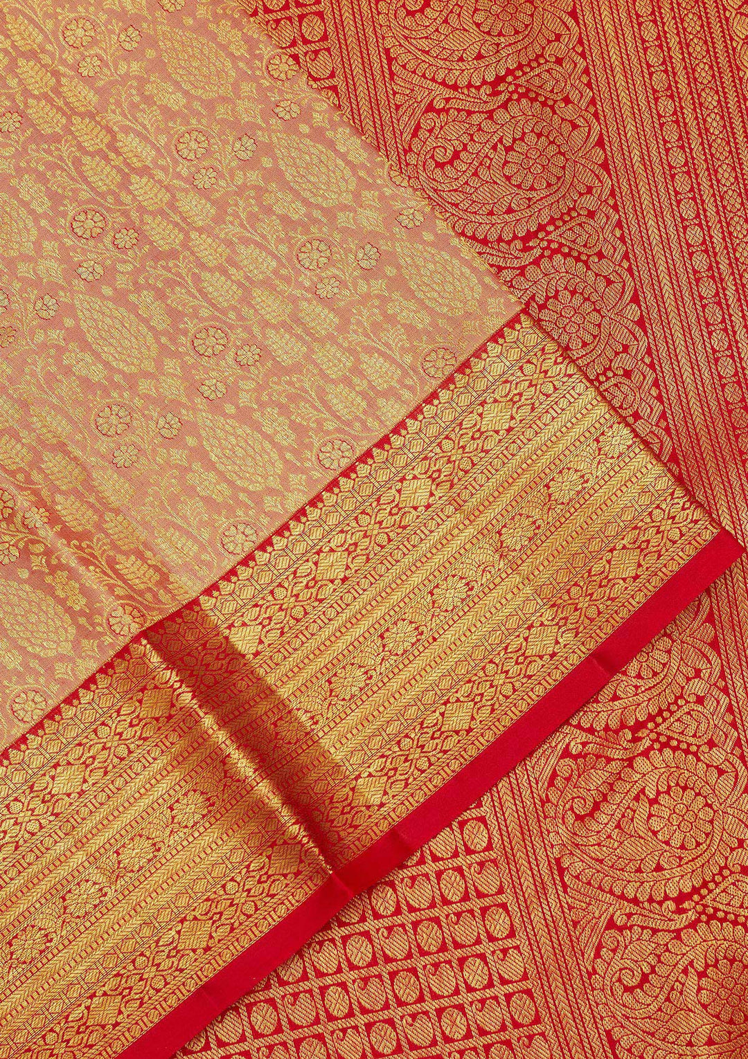 Beige Zariwork Pure Silk Saree-Koskii