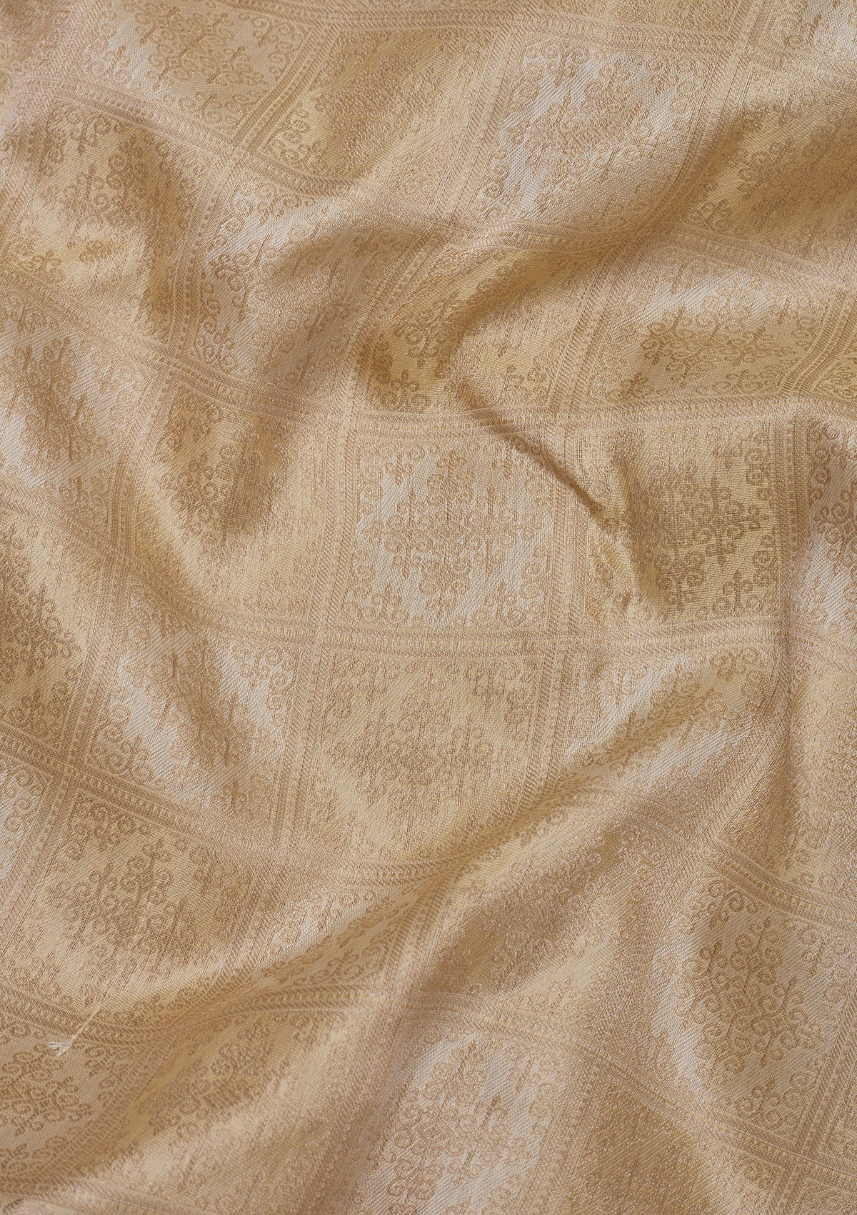 Beige Zariwork Pure Silk Saree