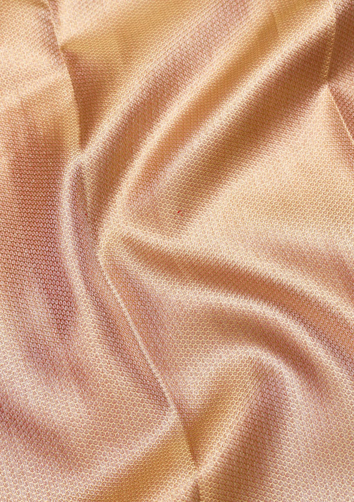 Beige Zariwork Pure Silk Saree-Koskii