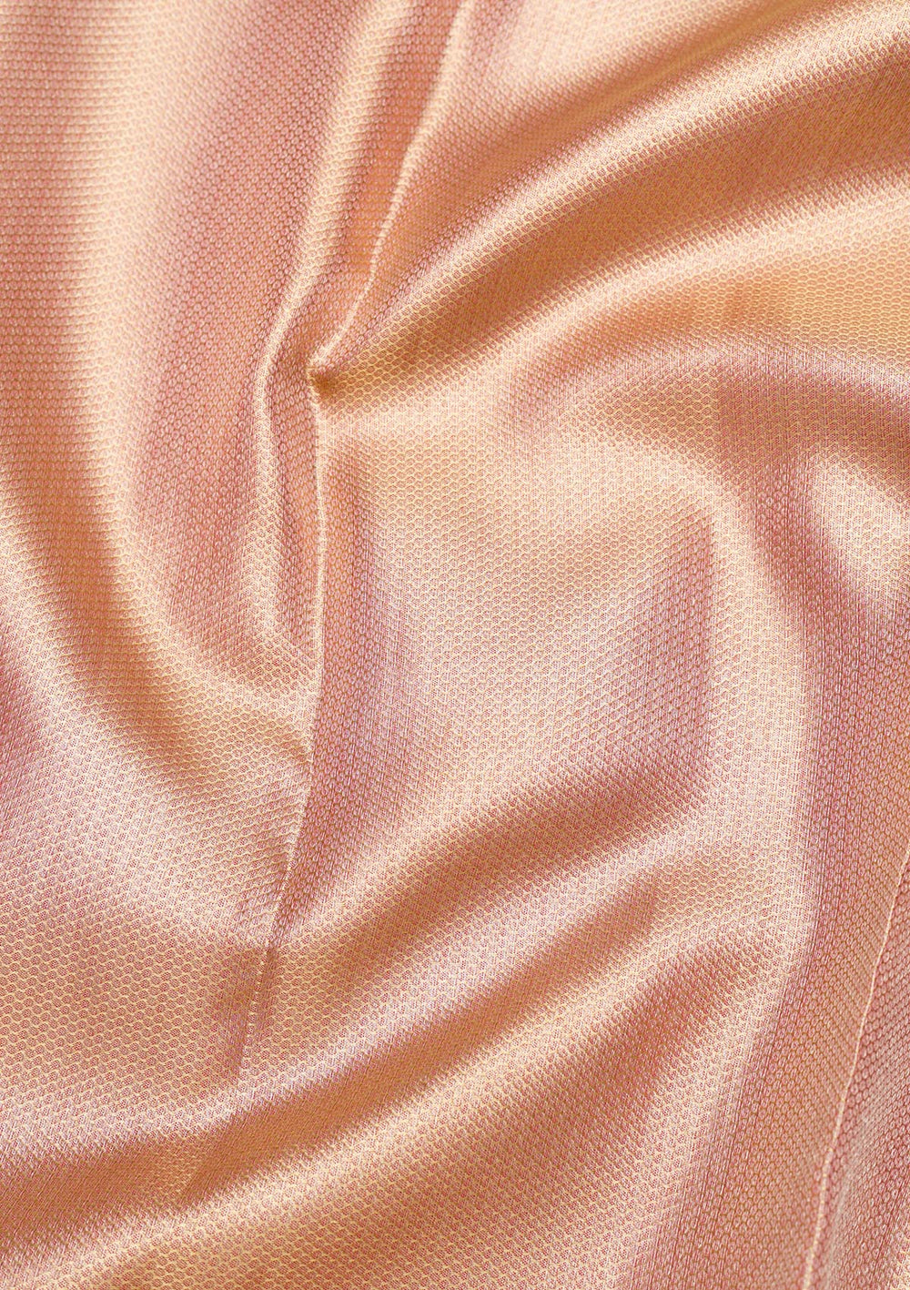 Beige Zariwork Pure Silk Saree-Koskii