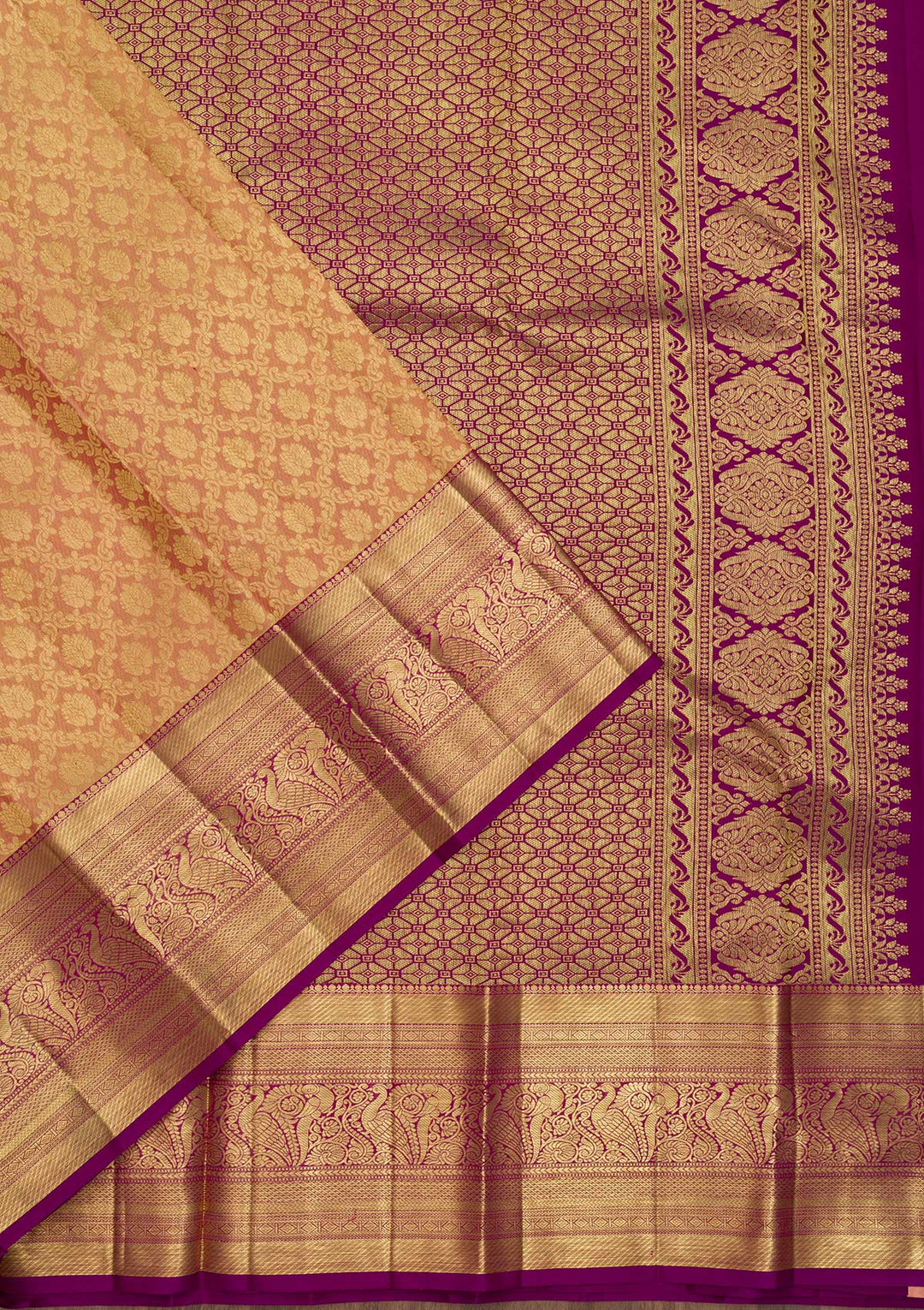 Beige Zariwork Pure Silk Saree-Koskii