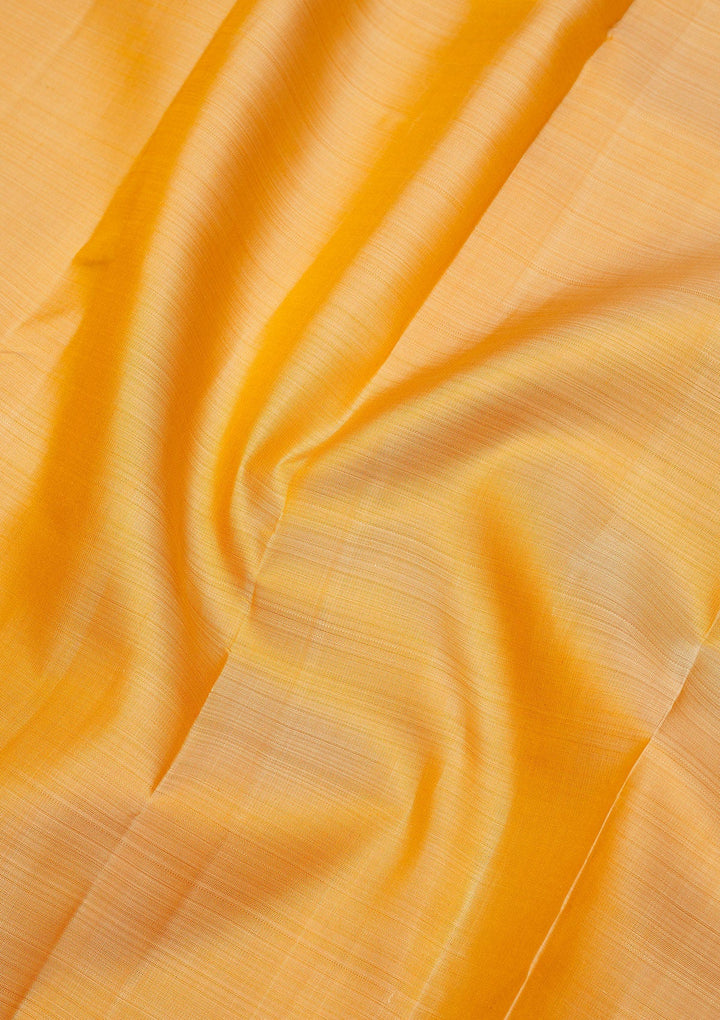 Beige Zariwork Pure Silk Saree-Koskii