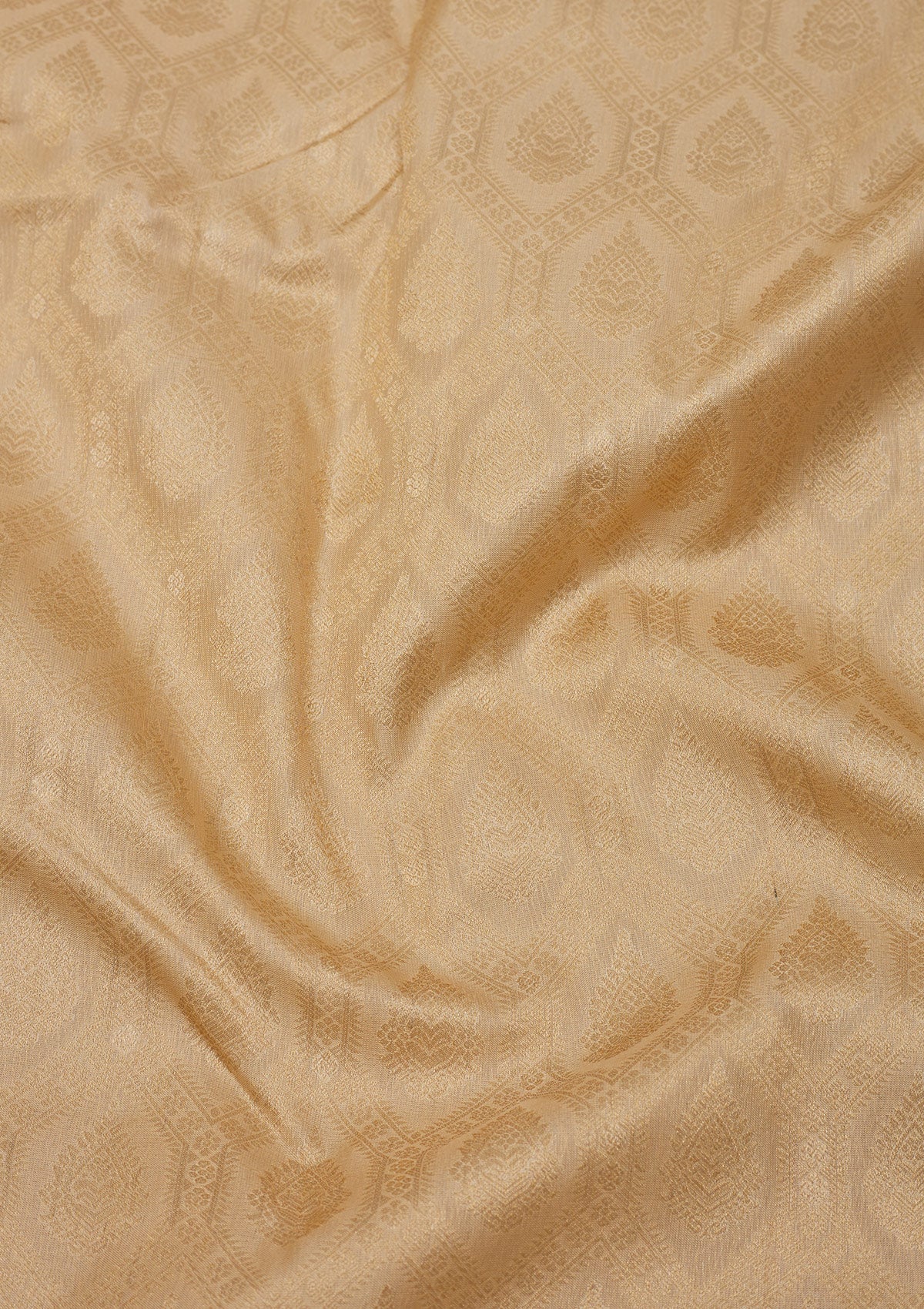 Beige Zariwork Pure Silk Saree