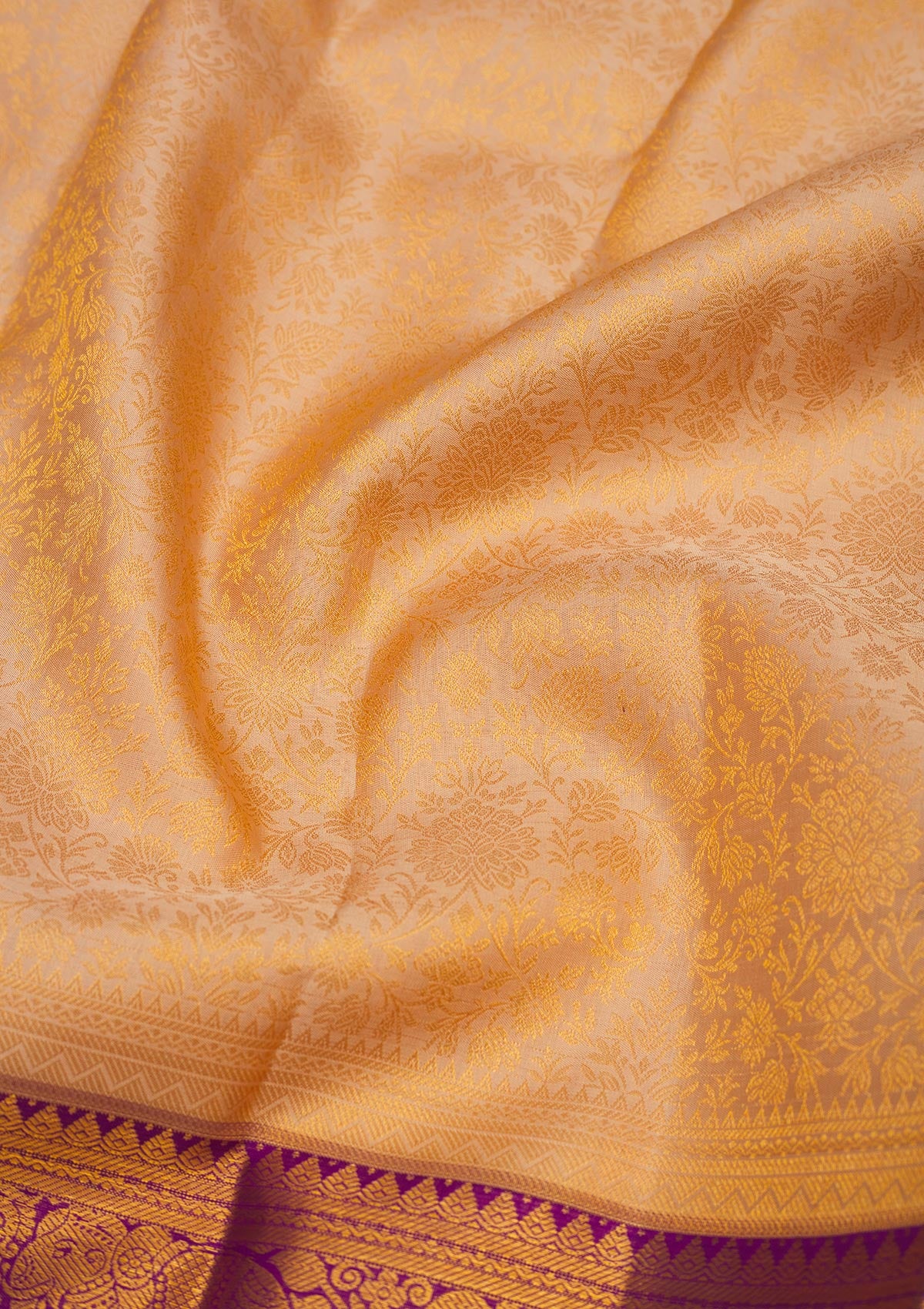 Beige Zariwork Pure Silk Saree