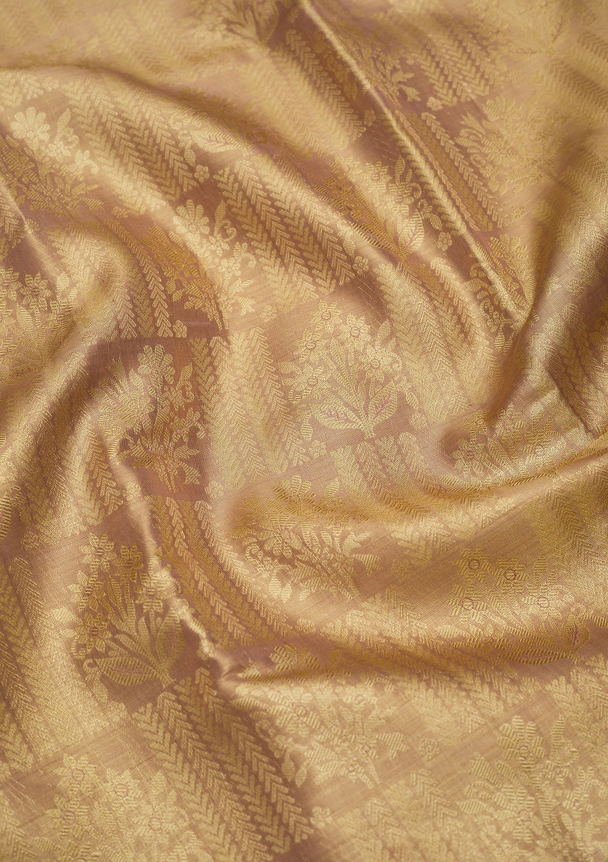 Beige Zariwork Pure Silk Saree