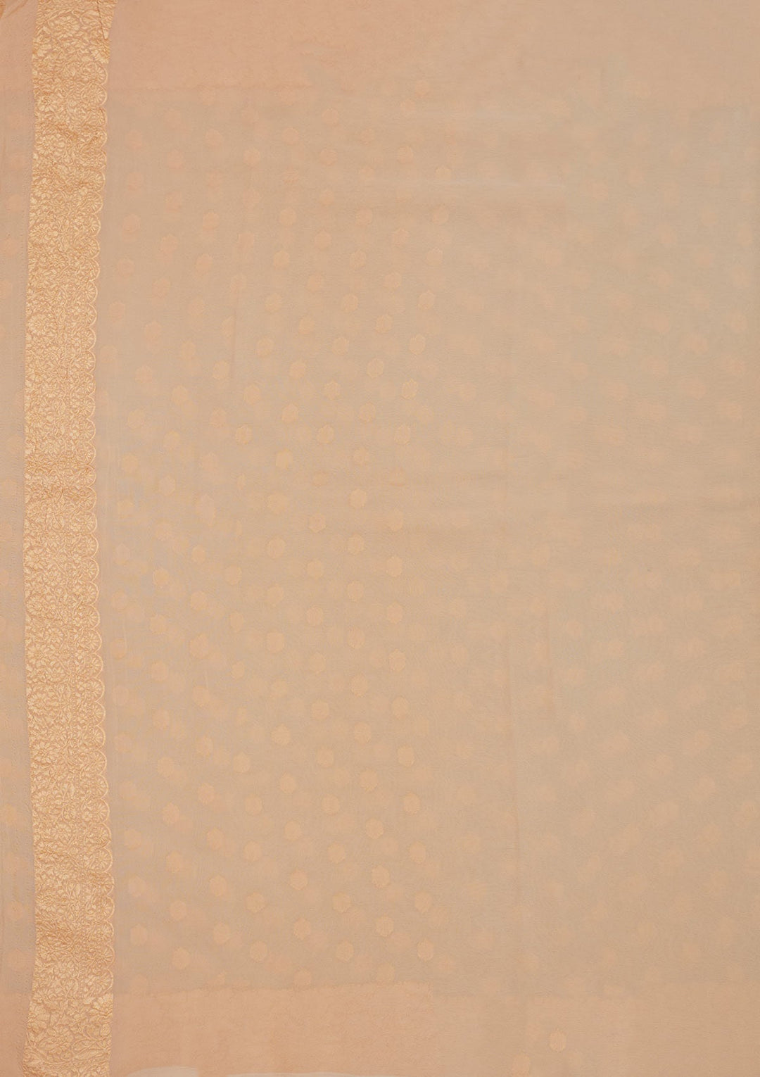 Beige Zariwork Pure Silk Saree-Koskii