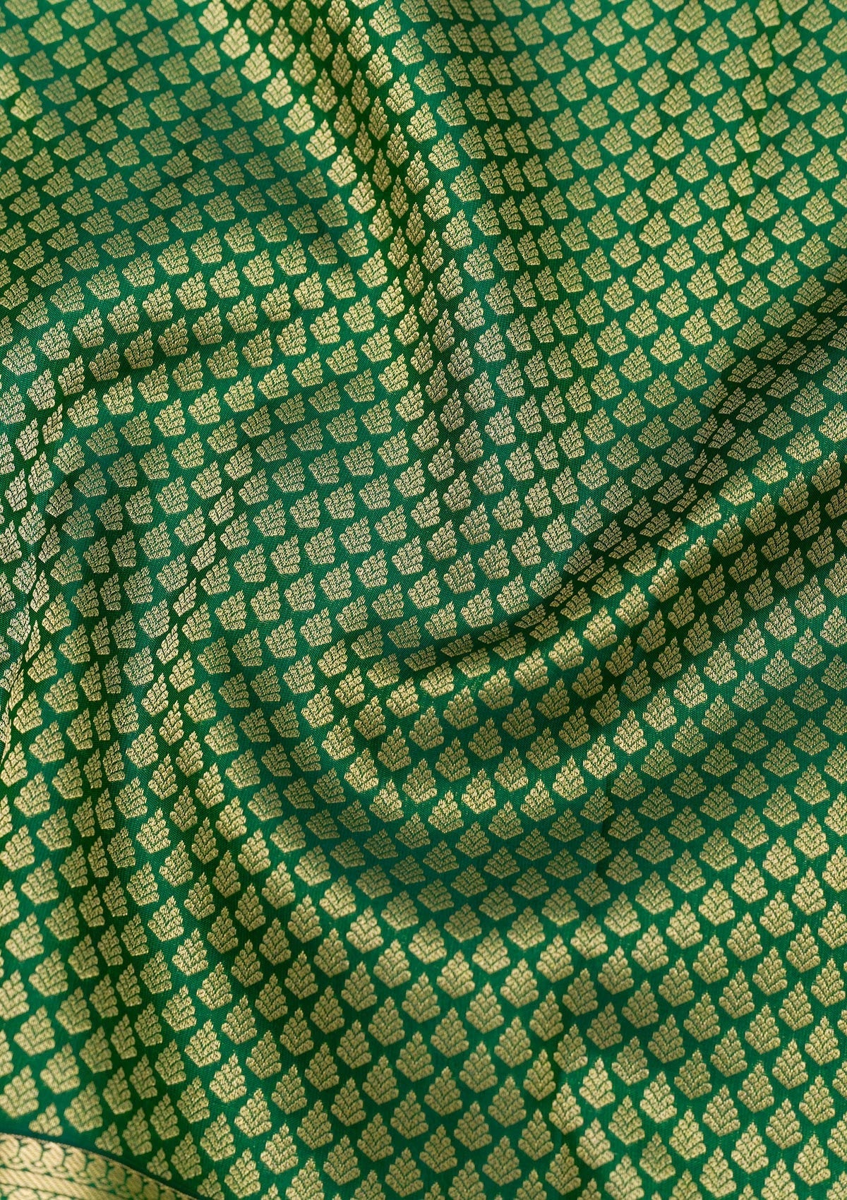 Bottle Green Zariwork Pure Silk Saree-Koskii