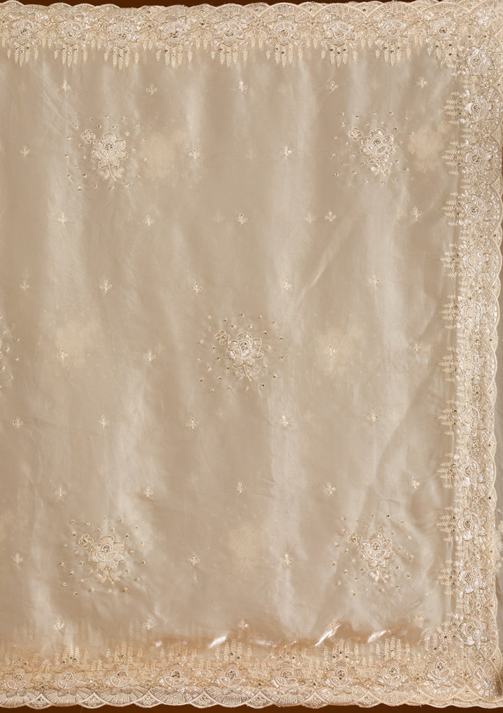 Cream Sequins Chiffon Saree