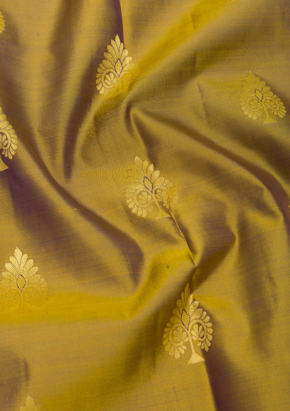 Mehendi Zariwork Pure Silk Saree-Koskii