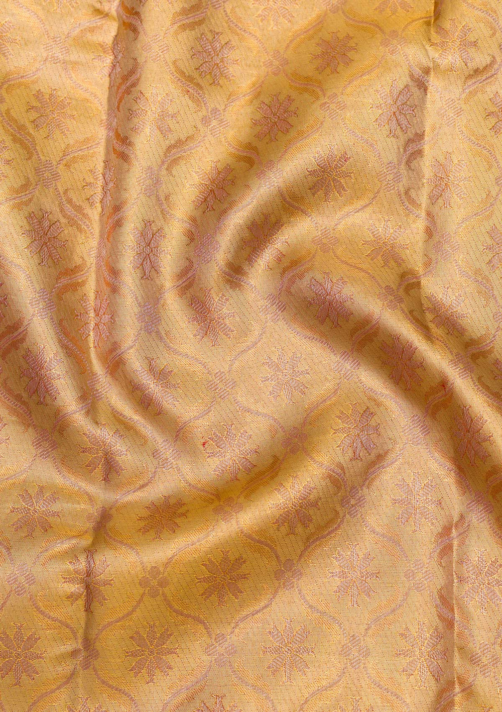 Gold Zariwork Tissue Saree-Koskii
