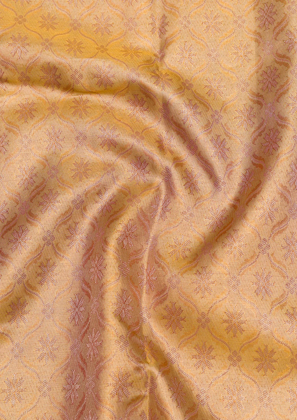 Gold Zariwork Tissue Saree-Koskii