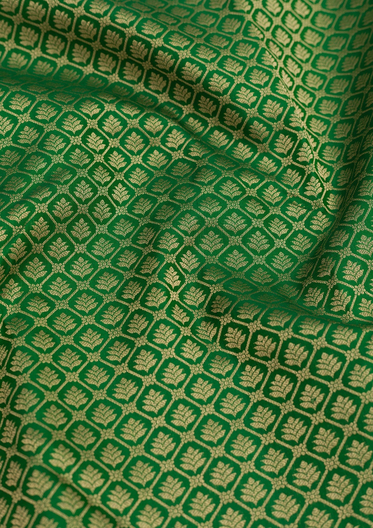 Leaf Green Zariwork Pure Silk Saree-Koskii