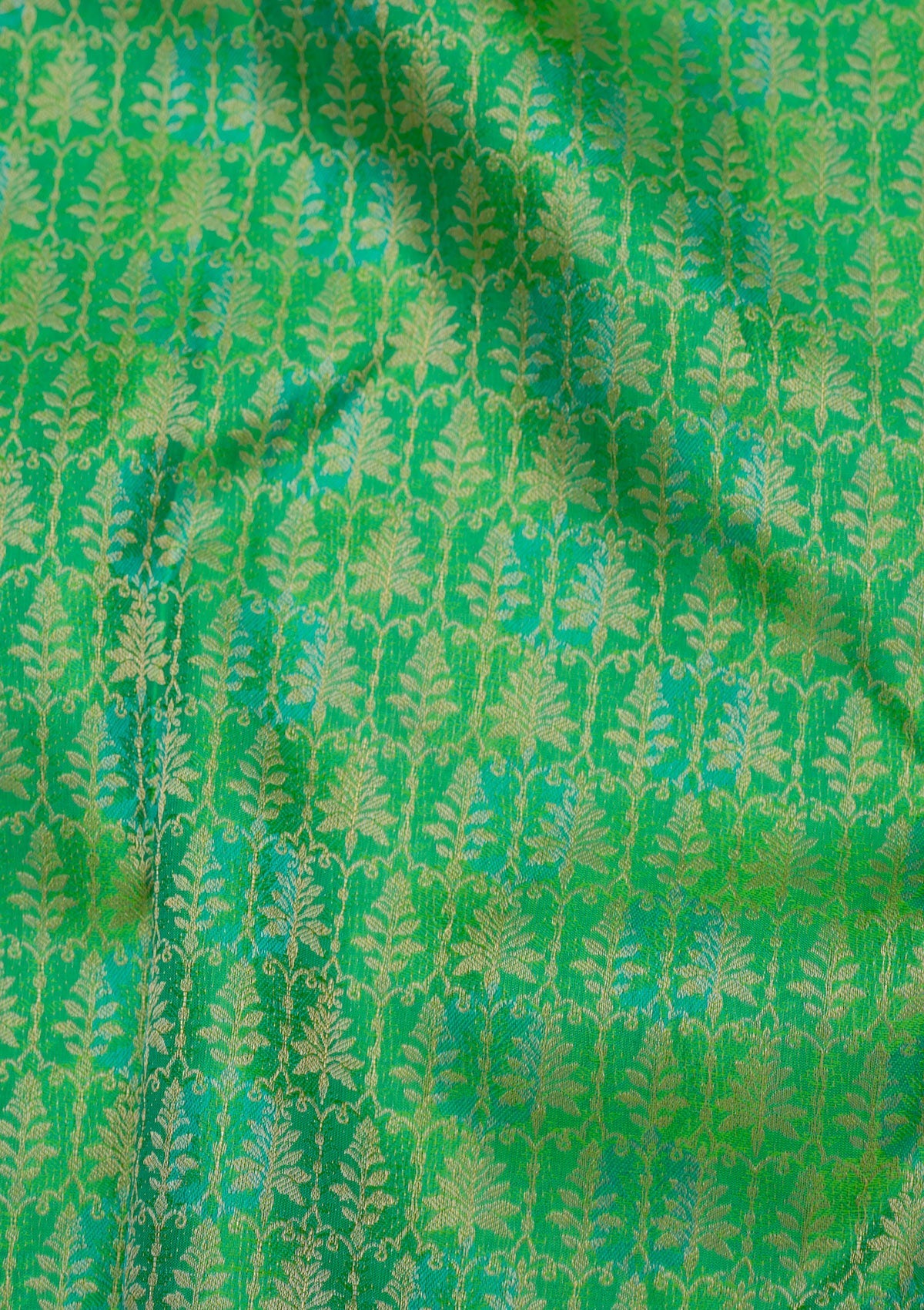 Leaf Green Zariwork Pure Silk Saree-Koskii