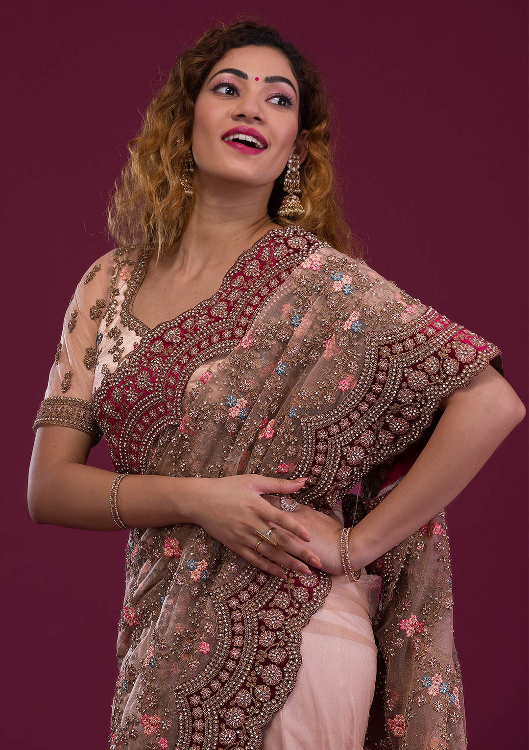Light Brown Stonework Net Saree-Koskii