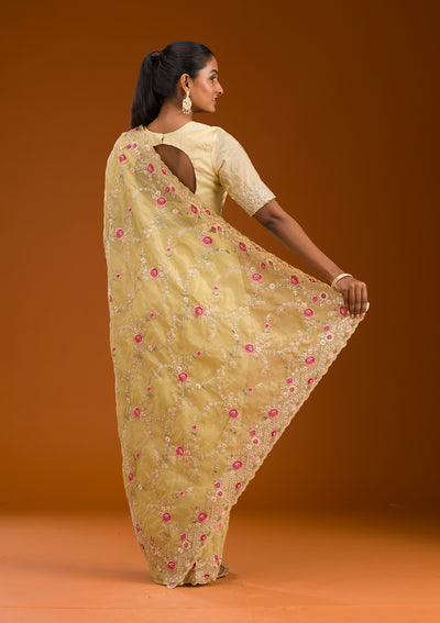 Mehendi Threadwork Tissue Saree