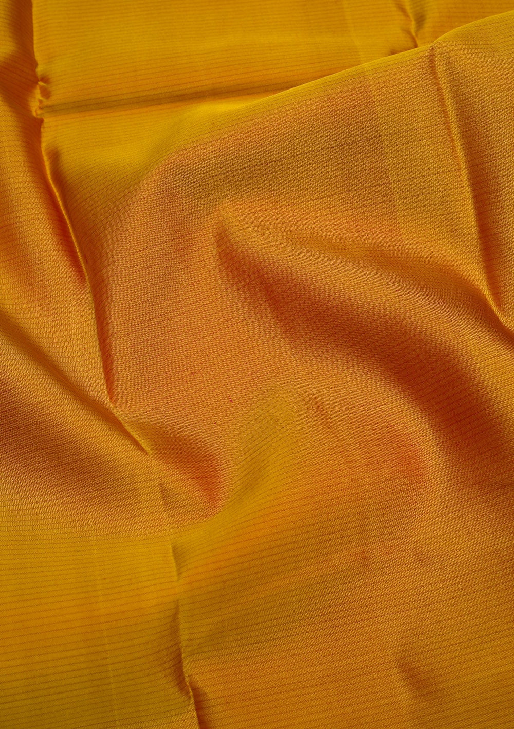 Mustard Zariwork Pure Silk Saree-Koskii