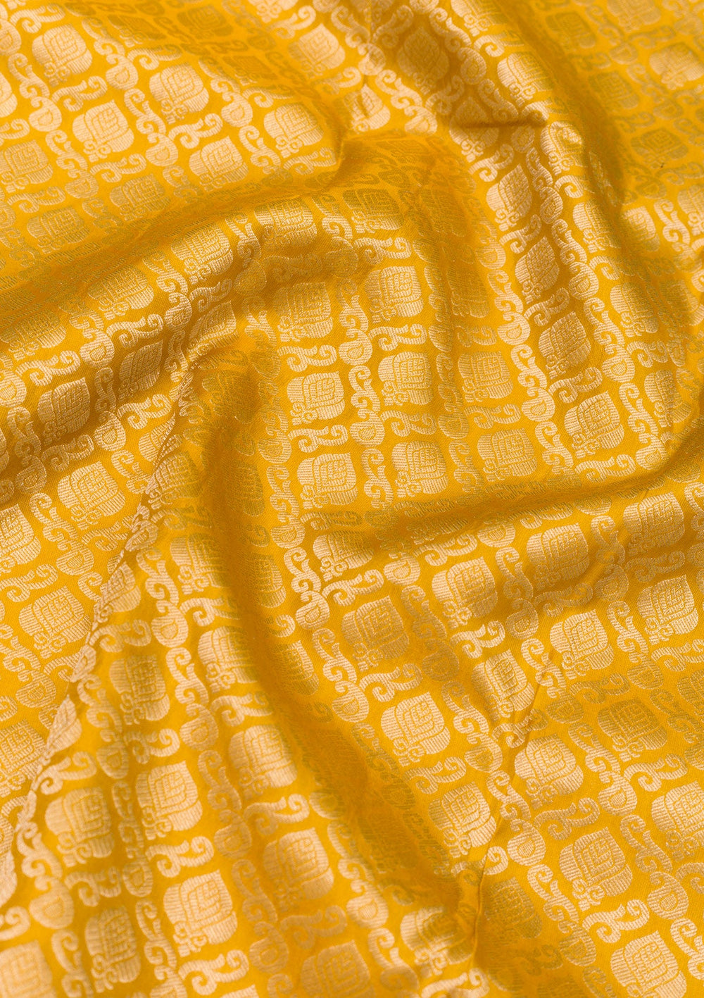 Mustard Zariwork Pure Silk Saree-Koskii