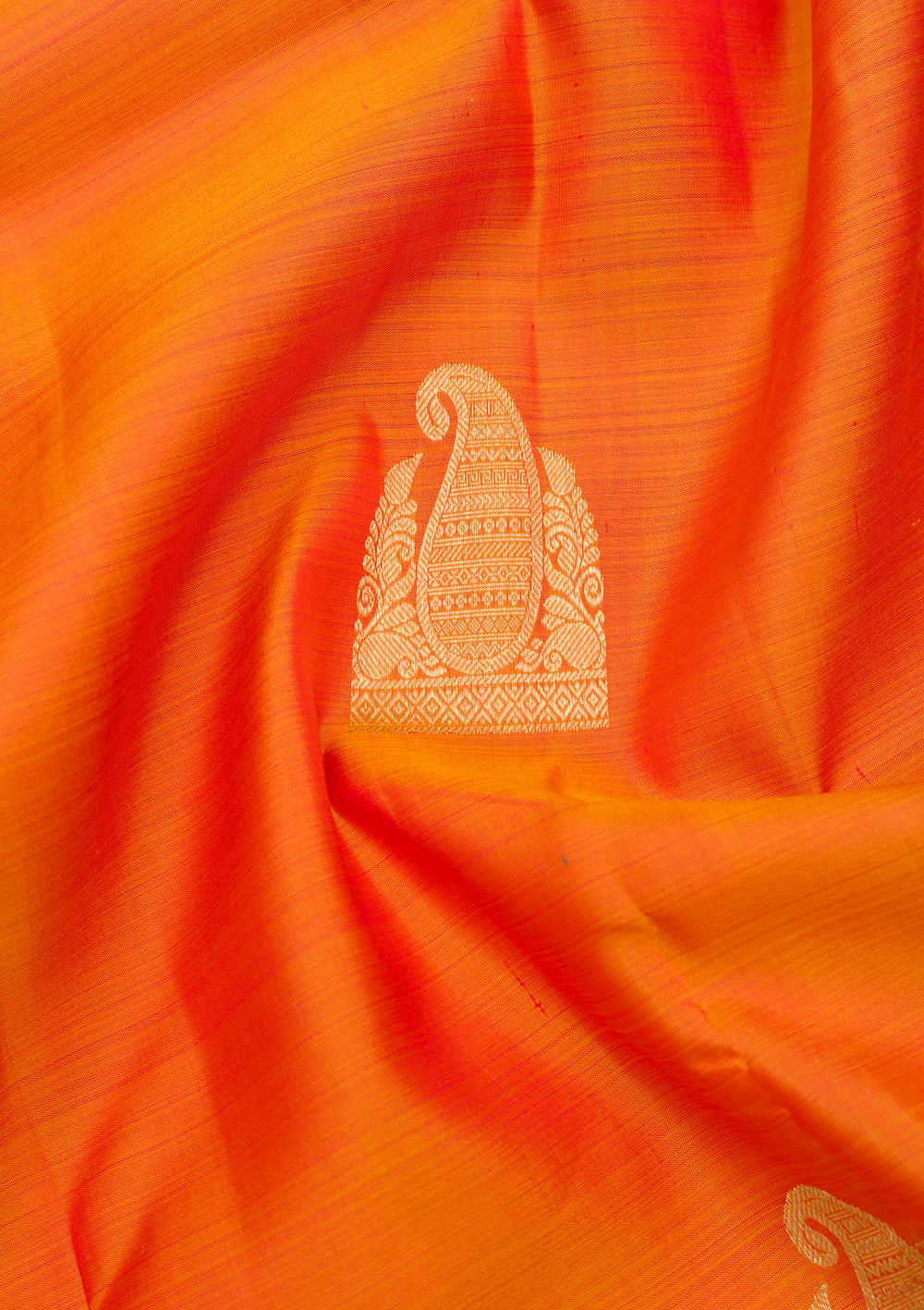 Mustard Zariwork Pure Silk Saree-Koskii