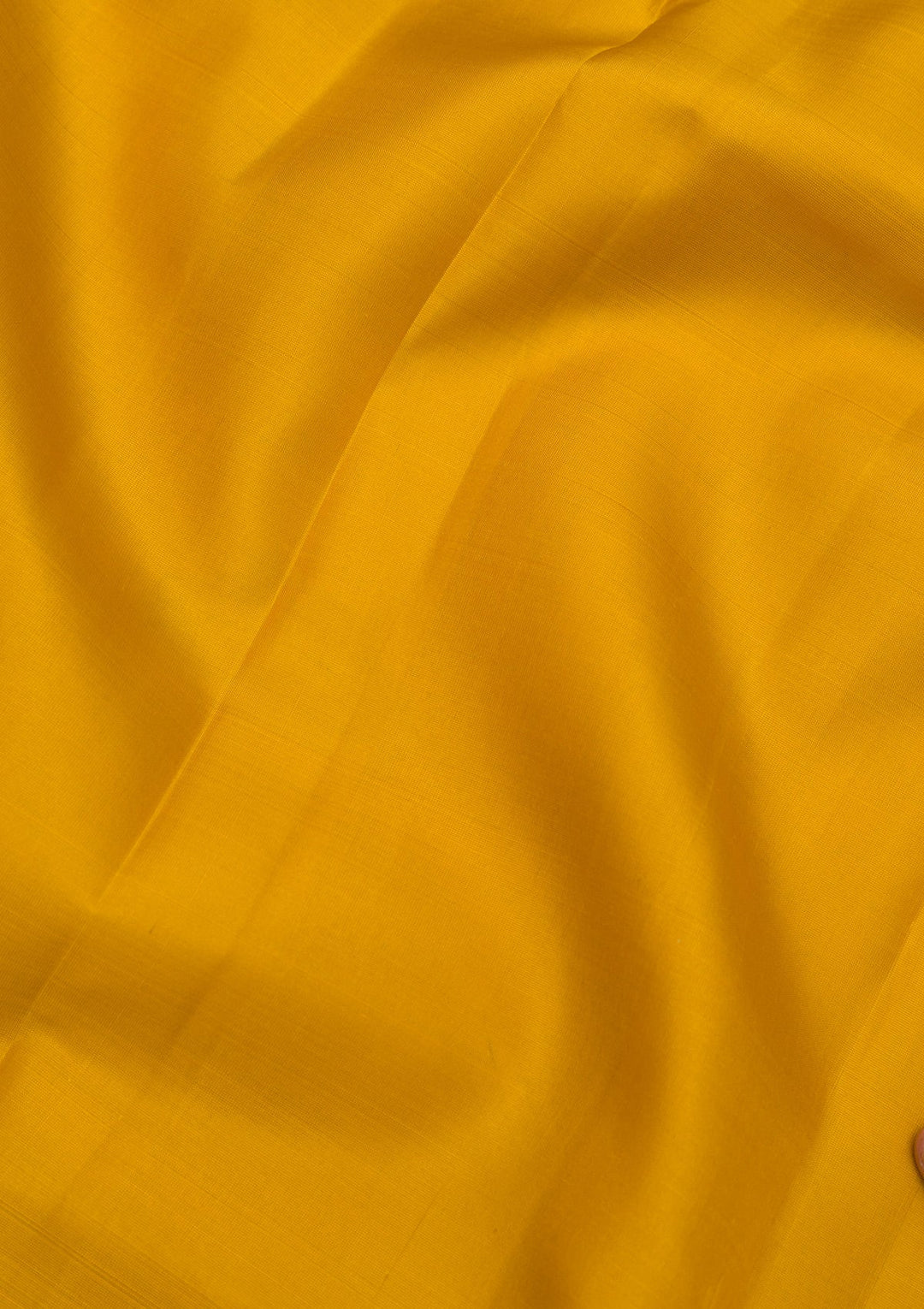 Mustard Zariwork Pure Silk Saree-Koskii