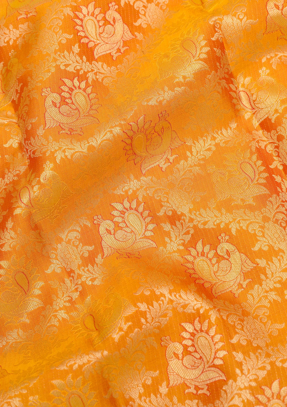 Mustard Zariwork Pure Silk Saree-Koskii