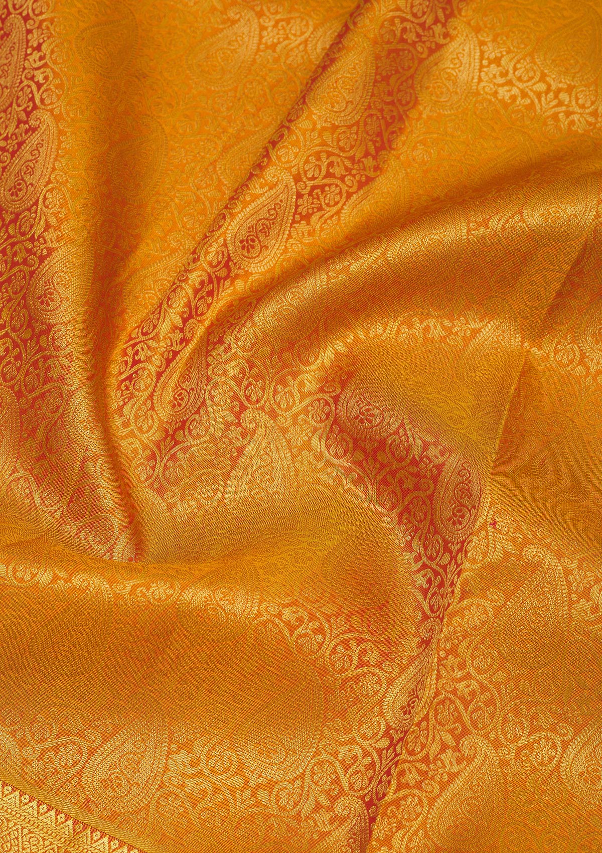 Mustard Zariwork Pure Silk Saree-Koskii