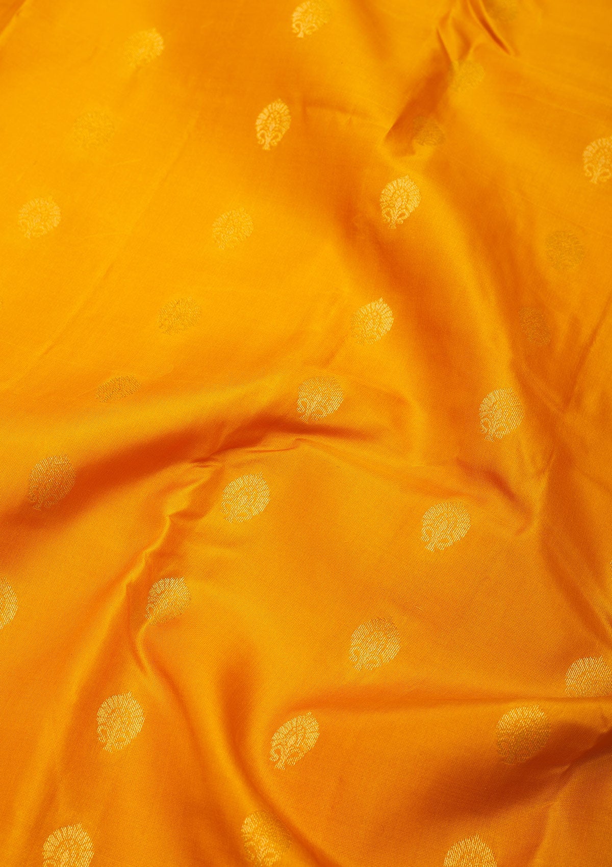 Mustard Zariwork Pure Silk Saree