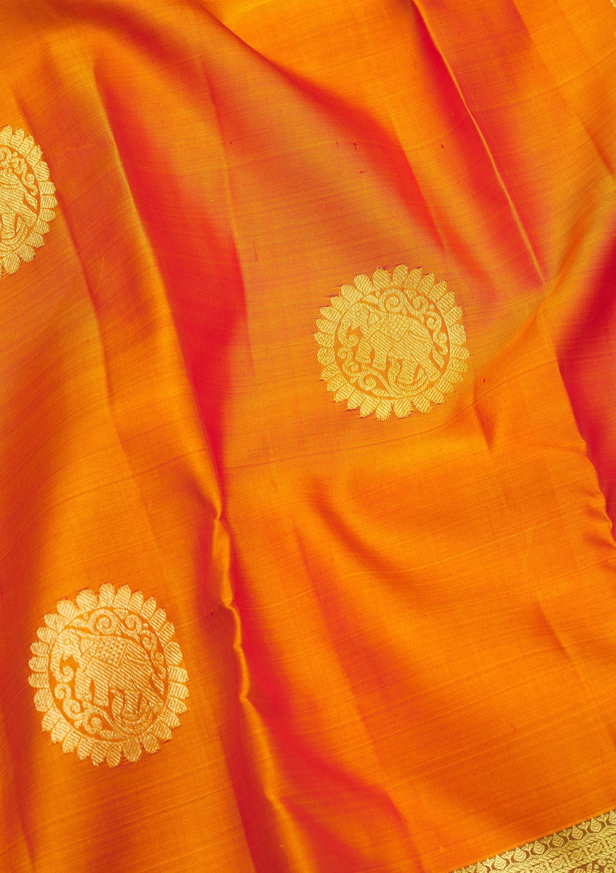 Mustard Zariwork Pure Silk Saree