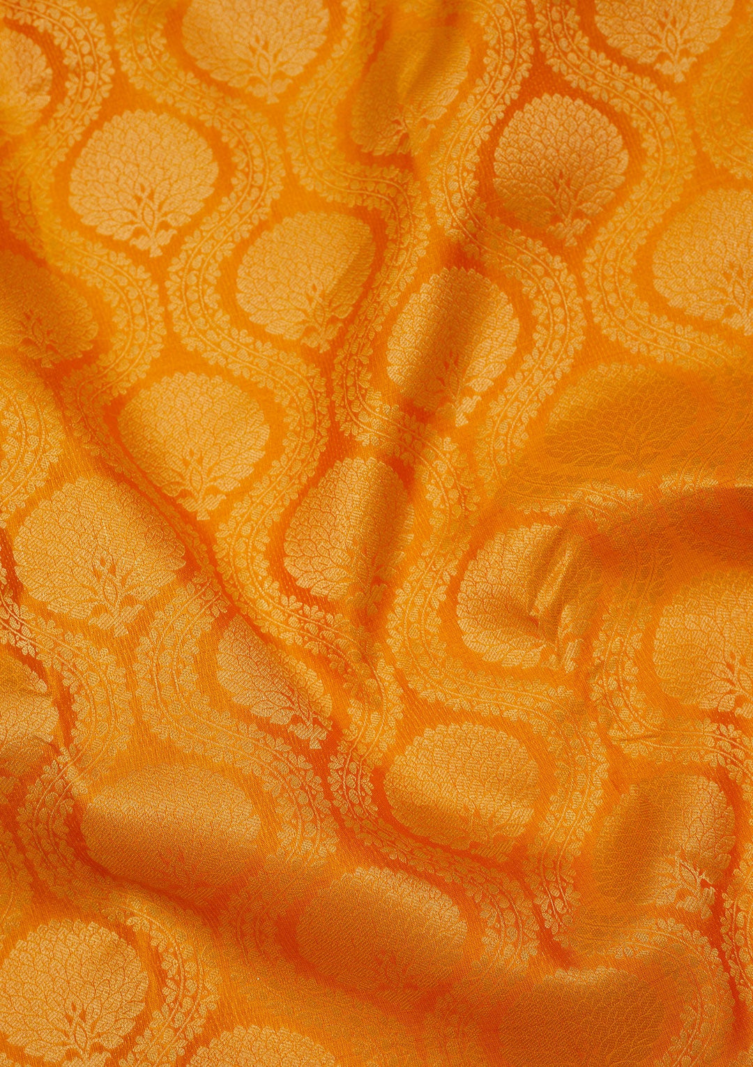 Mustard Zariwork Pure Silk Saree-Koskii