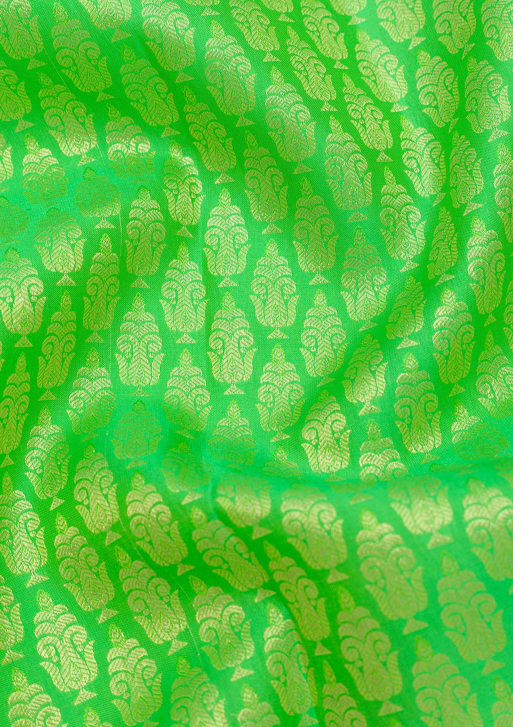 Parrot Green Zariwork Pure Silk Saree-Koskii