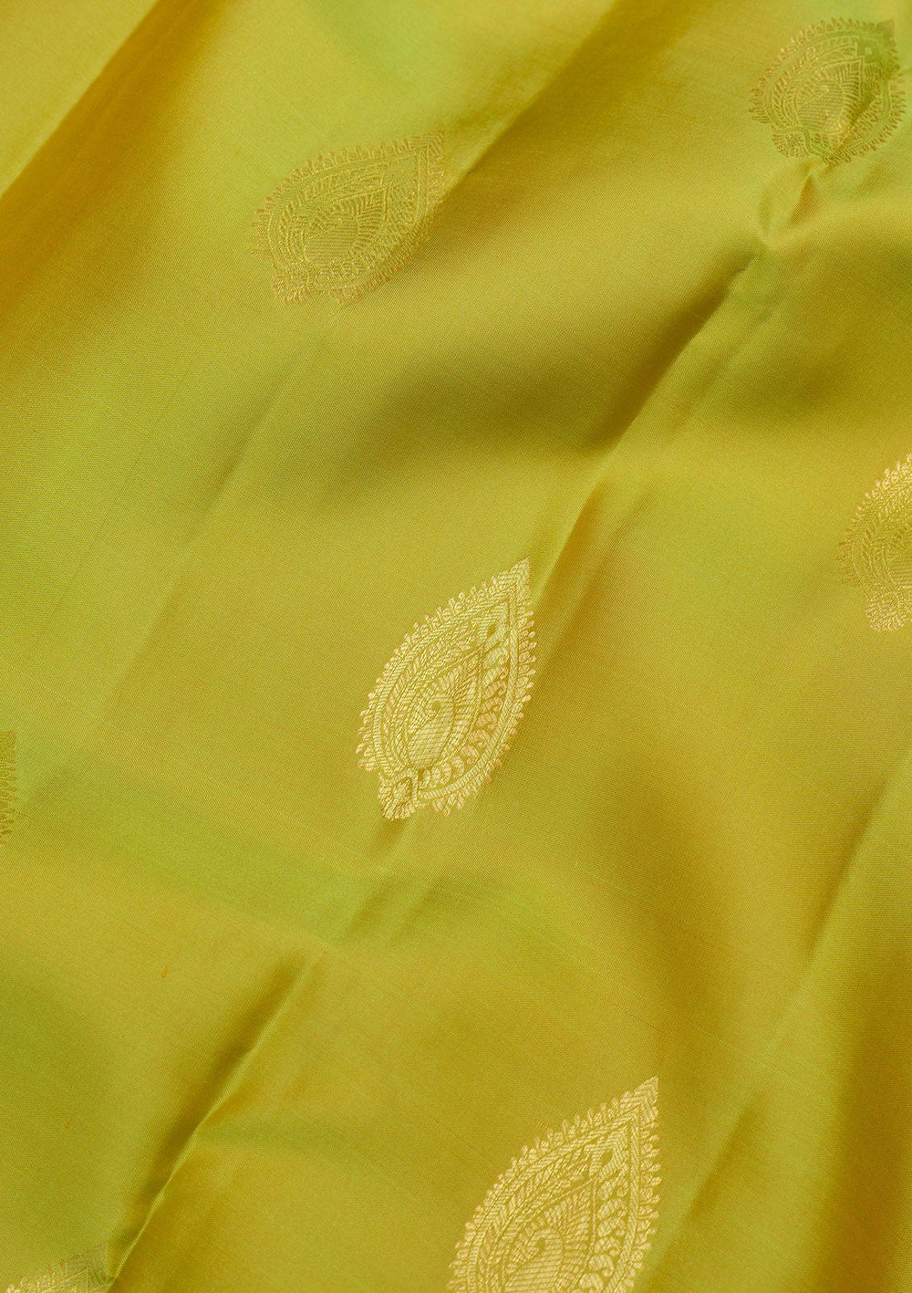 Parrot Green Zariwork Pure Silk Saree-Koskii