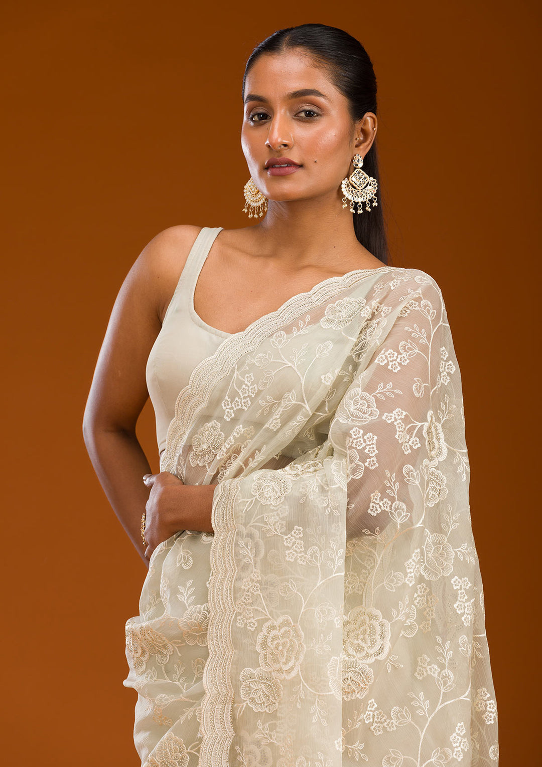 Pista Green Threadwork Chiffon Saree