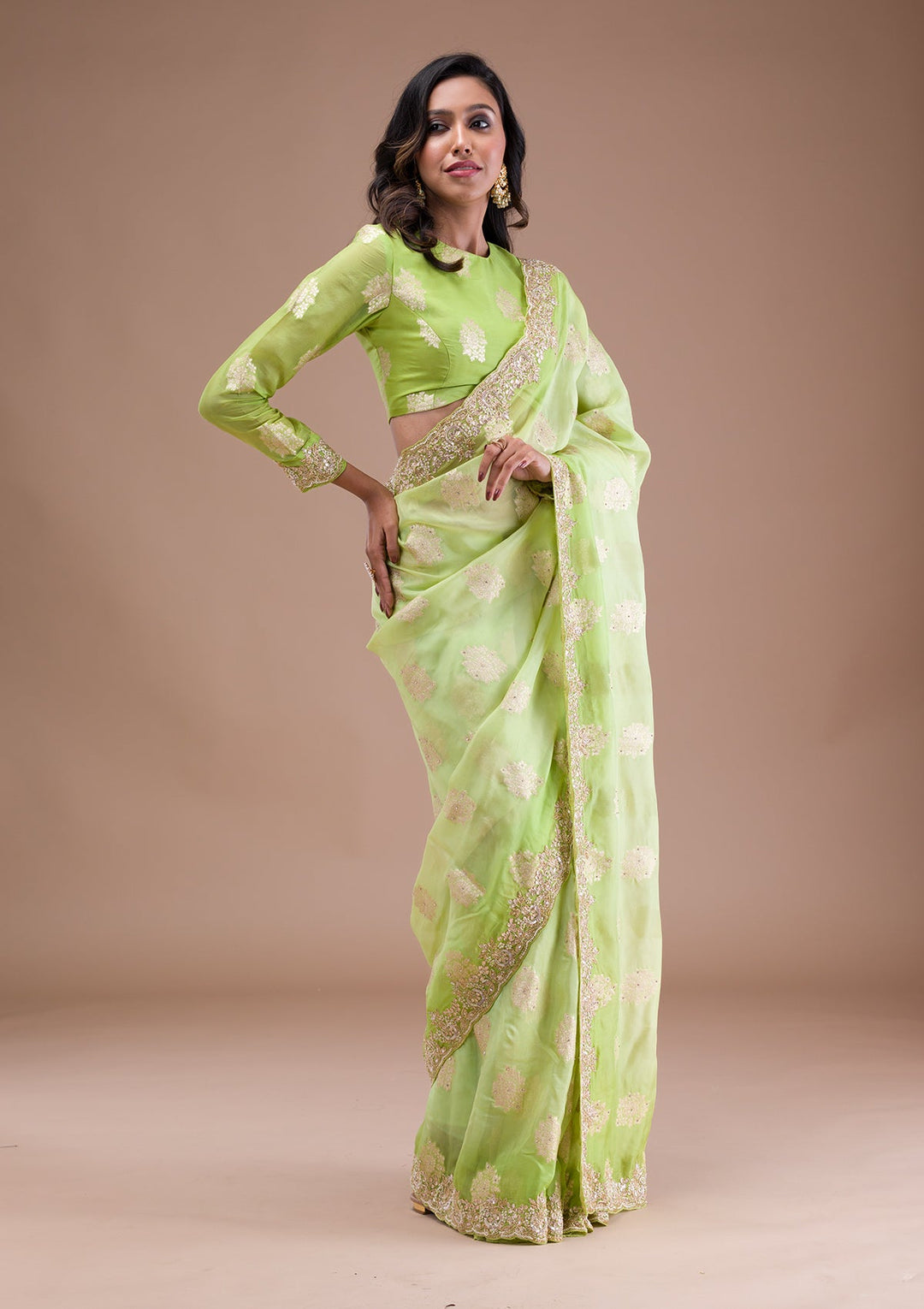 Pista Green Gotapatti Tissue Saree-Koskii