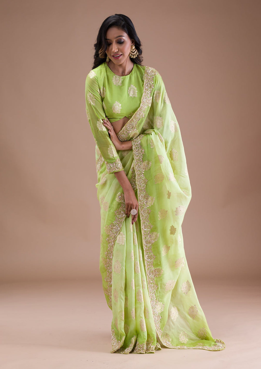 Pista Green Gotapatti Tissue Saree-Koskii