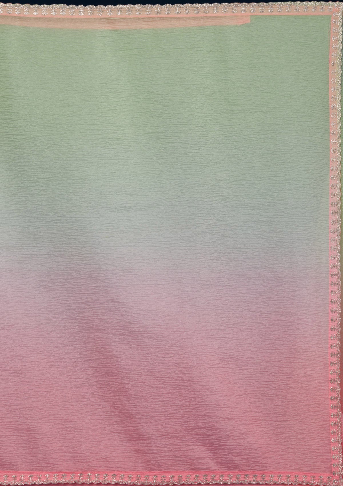 Pista Green Stonework Tissue Saree