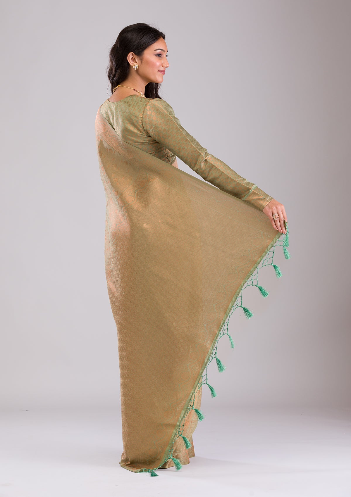 Pista Green Zariwork Soft Silk Saree-Koskii