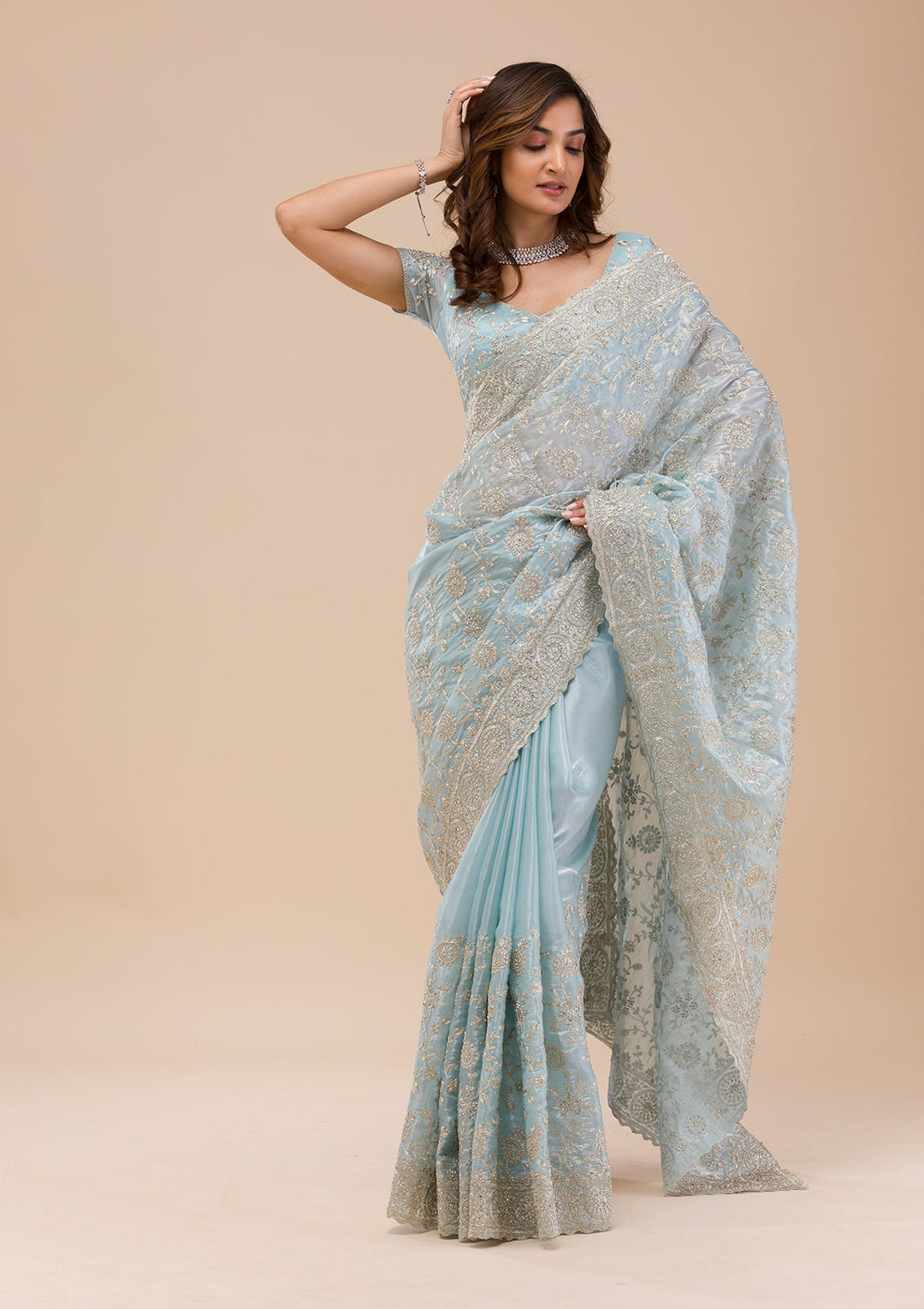 Sky Blue Zariwork Organza Saree-Koskii
