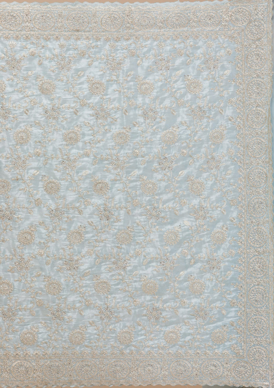 Sky Blue Zariwork Organza Saree-Koskii