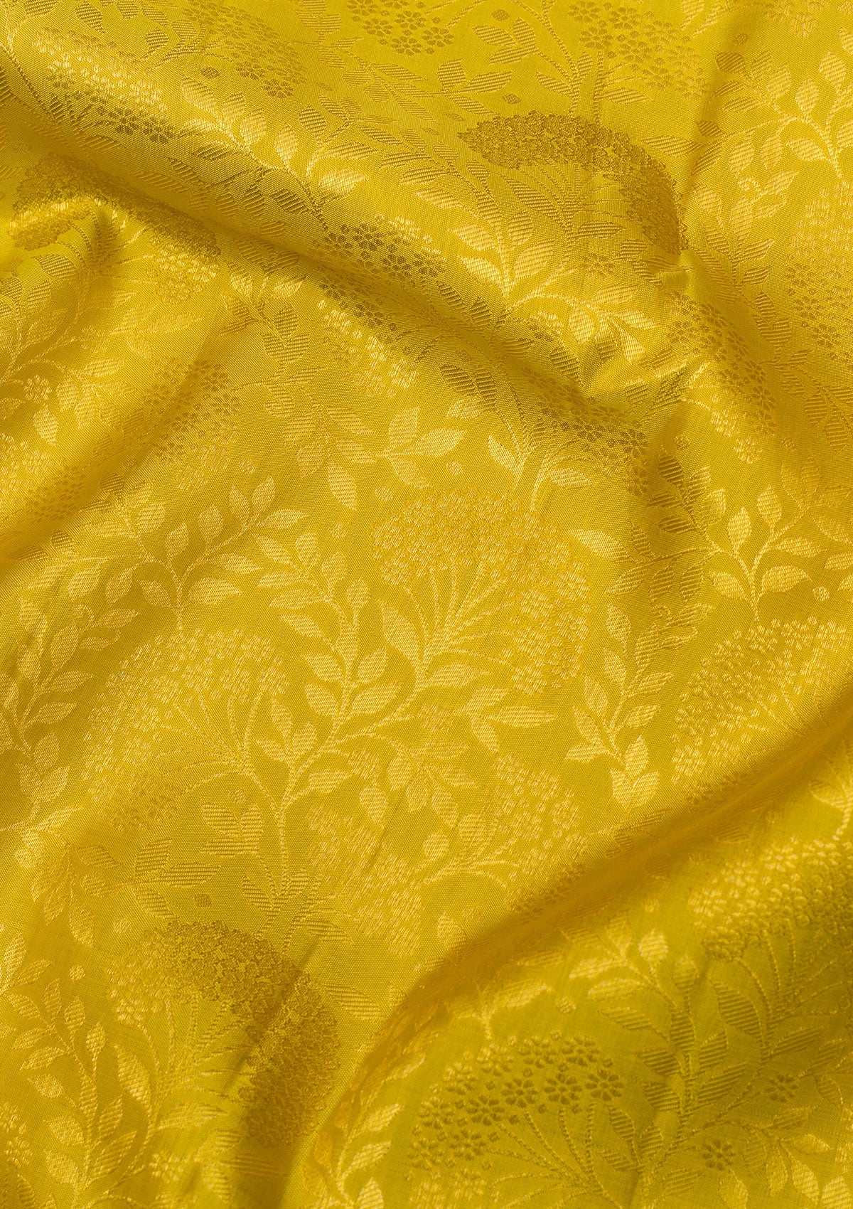 Yellow Gold Zariwork Pure Silk Saree - Koskii
