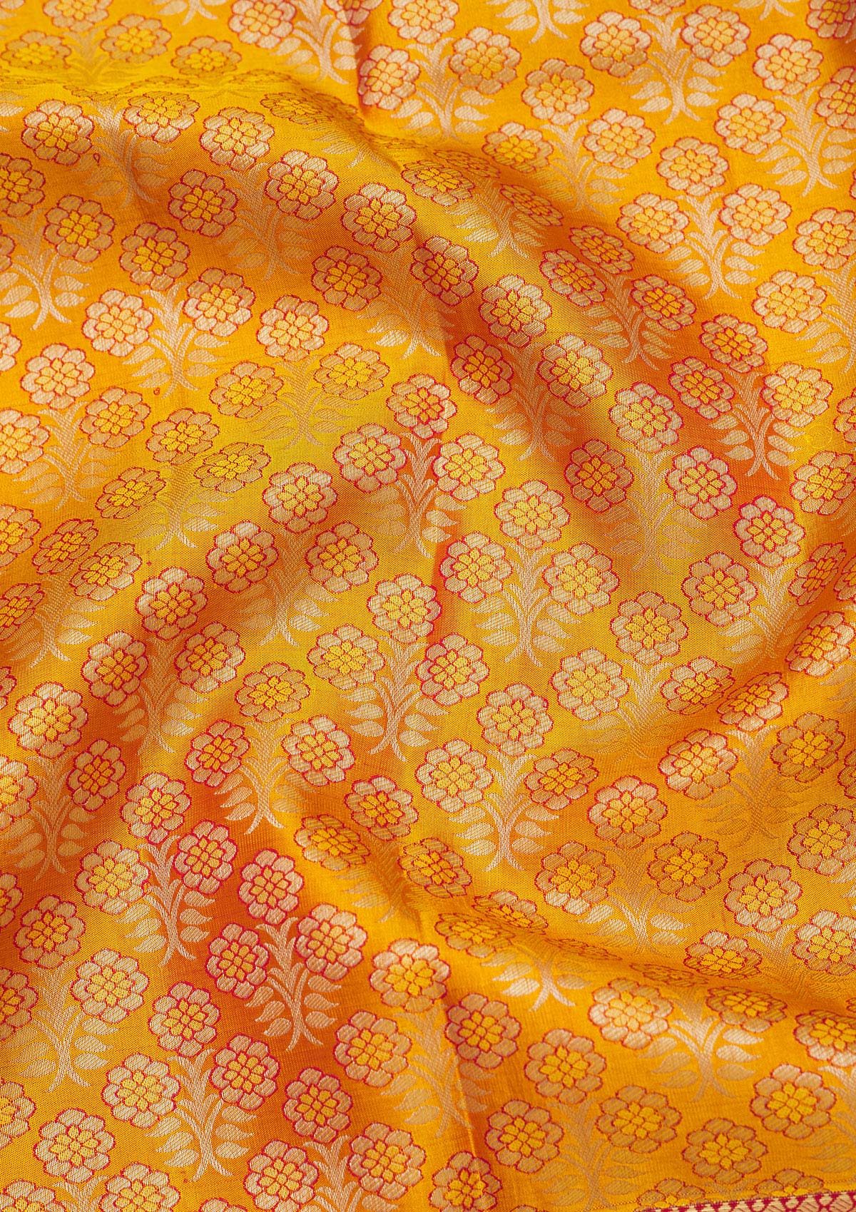 Yellow Zariwork Pure Silk Saree-Koskii