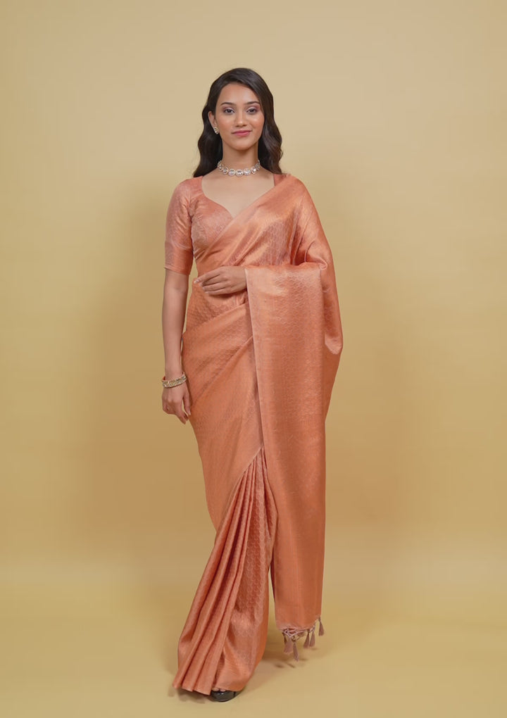 Beige Zariwork Soft Silk Saree