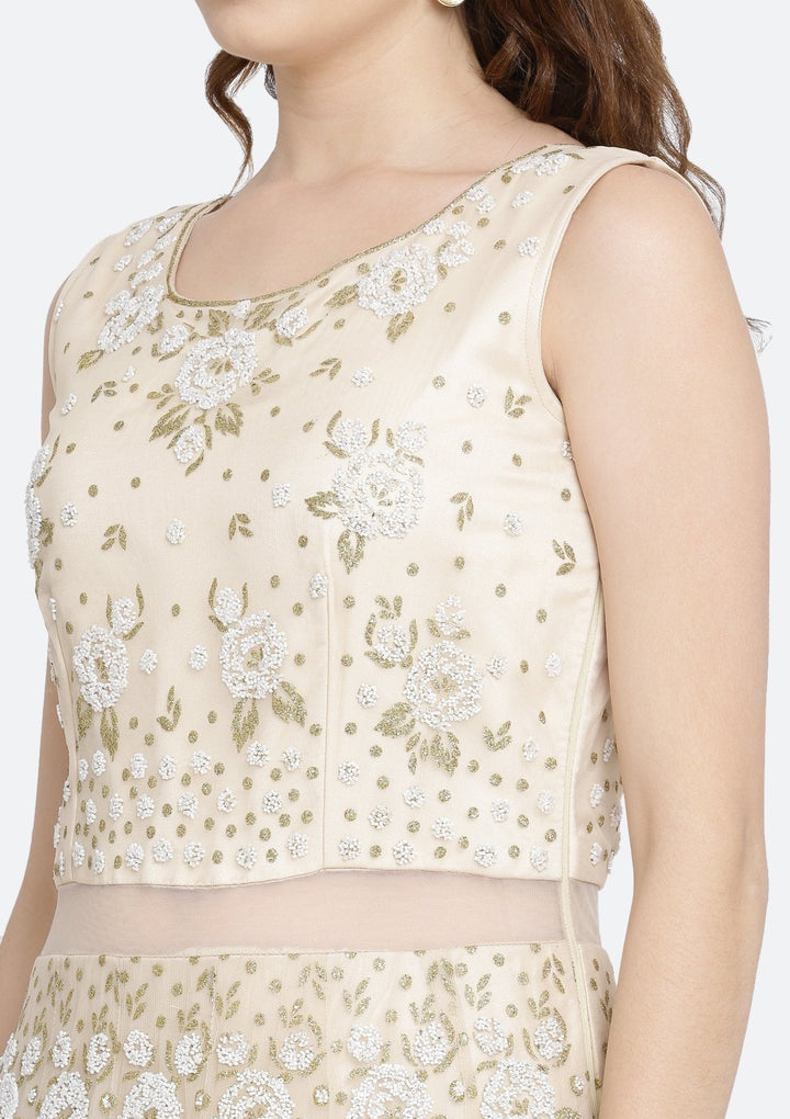 Beige Cutdana Net Designer Gown-Koskii