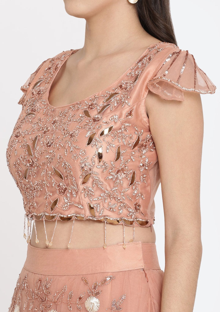 Rust Cutdana Net Designer Lehenga-Koskii