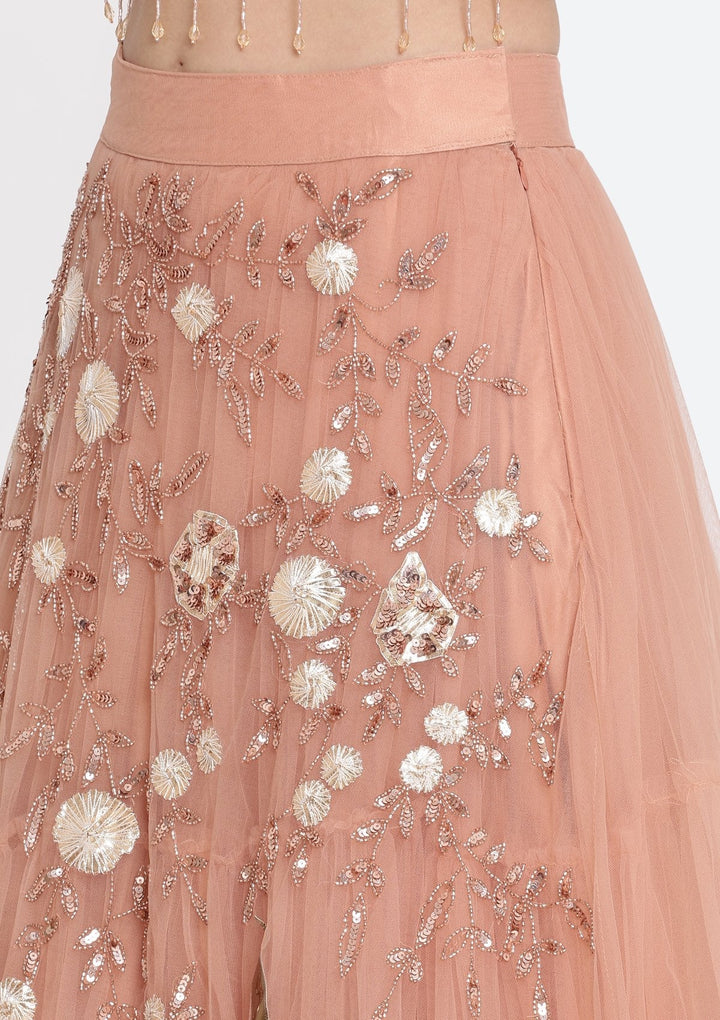 Rust Cutdana Net Designer Lehenga-Koskii
