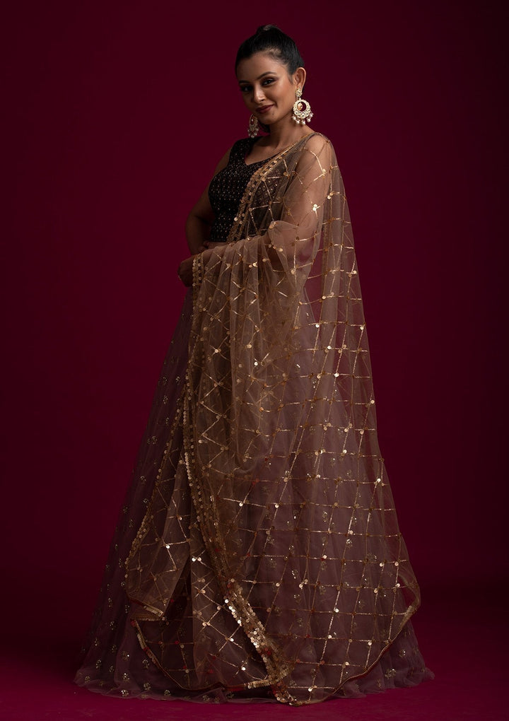 Brown Sequins Net Designer Dupatta - koskii