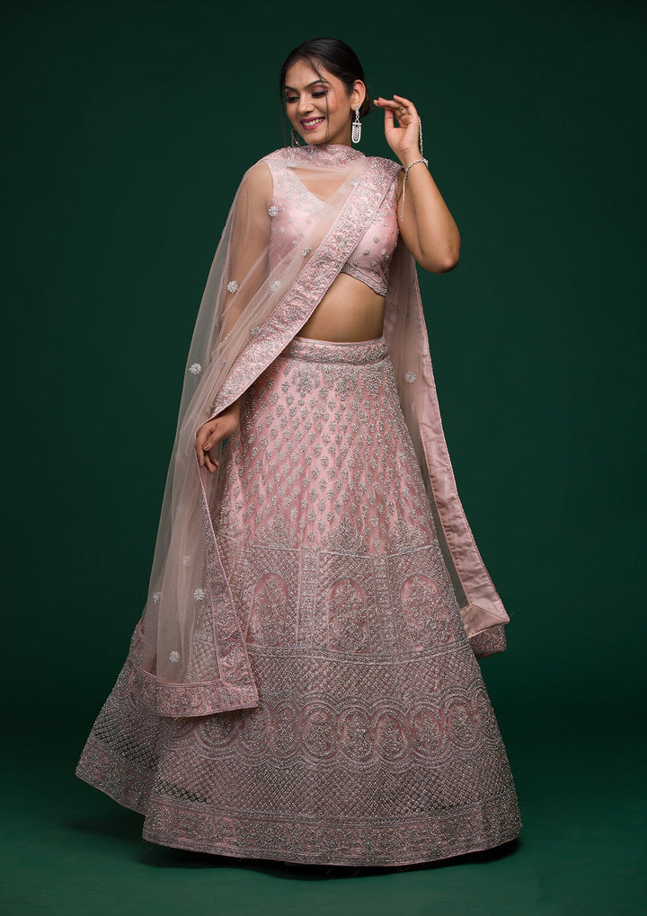 Baby Pink Silver Stonework Net Lehenga-koskii
