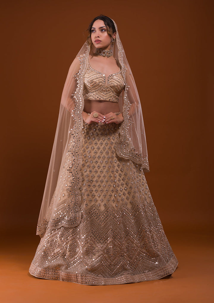 Beige Mirrorwork Net Designer Lehenga-Koskii