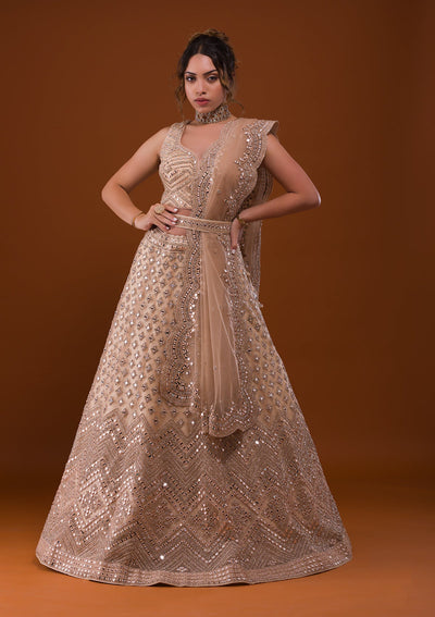 Beige Mirrorwork Net Designer Lehenga-Koskii